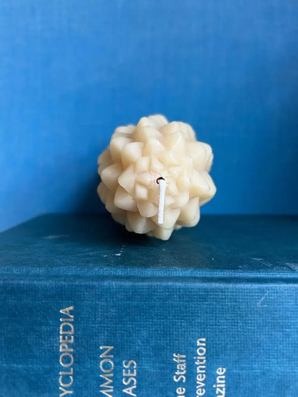Big Dipper Wax Works 100% Pure Beeswax Pinecone-L Candle